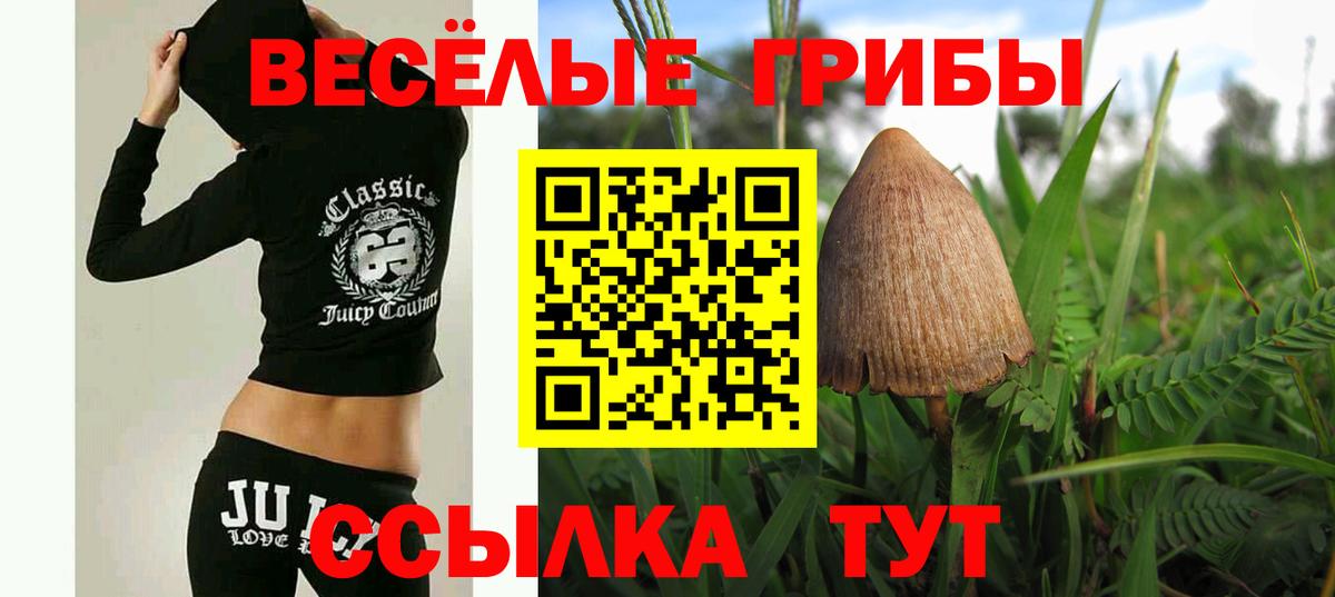 Псилоцибиновые грибы Magic Shrooms  Вход с VPN  Томск  Псилоцибиновые грибы Magic Shrooms 