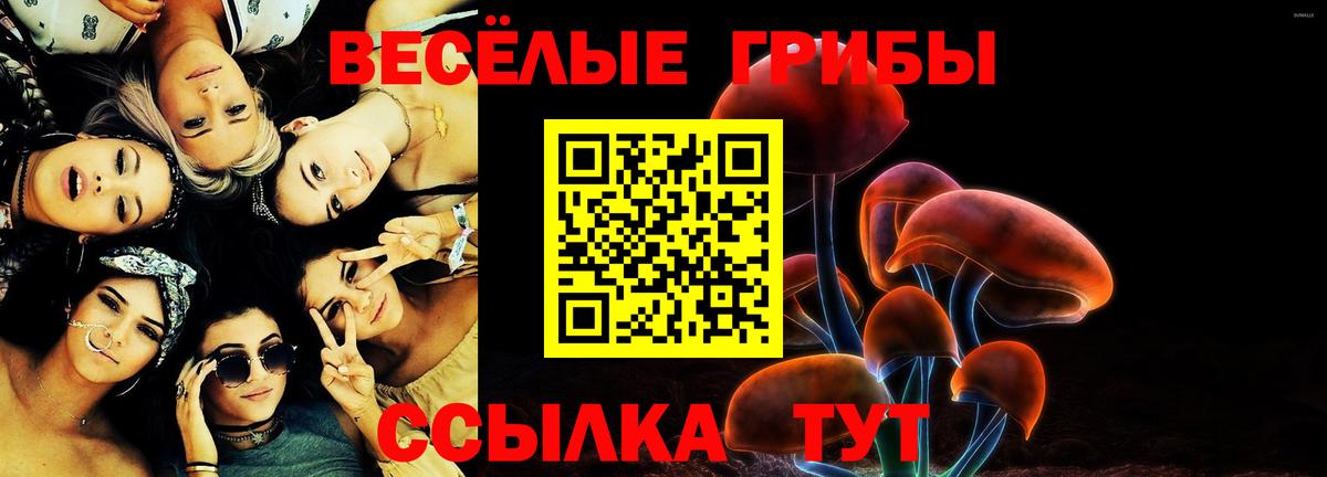 Псилоцибиновые грибы Psilocybine cubensis Томск